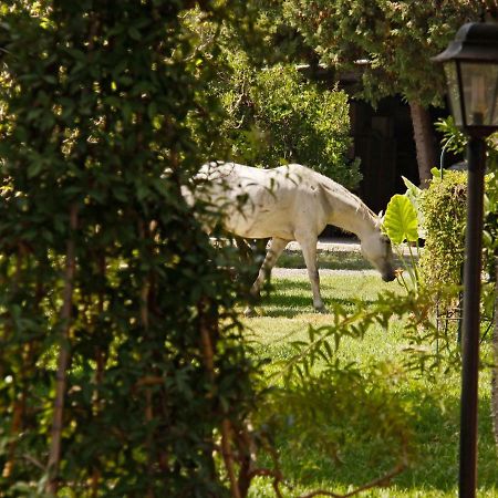 B&B La Villa Giardini-Naxos Buitenkant foto