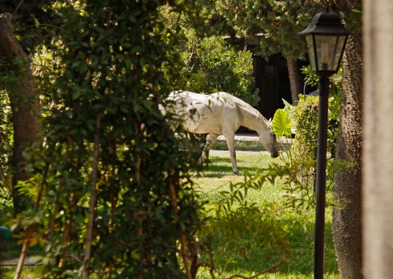 B&B La Villa Giardini-Naxos Buitenkant foto